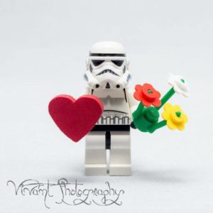 February Members Meeting